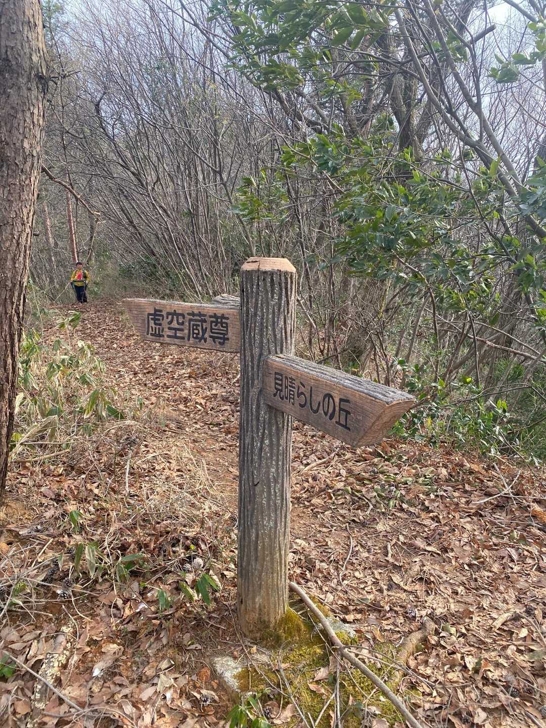 桜公園登山口-願文山 往復コースの写真