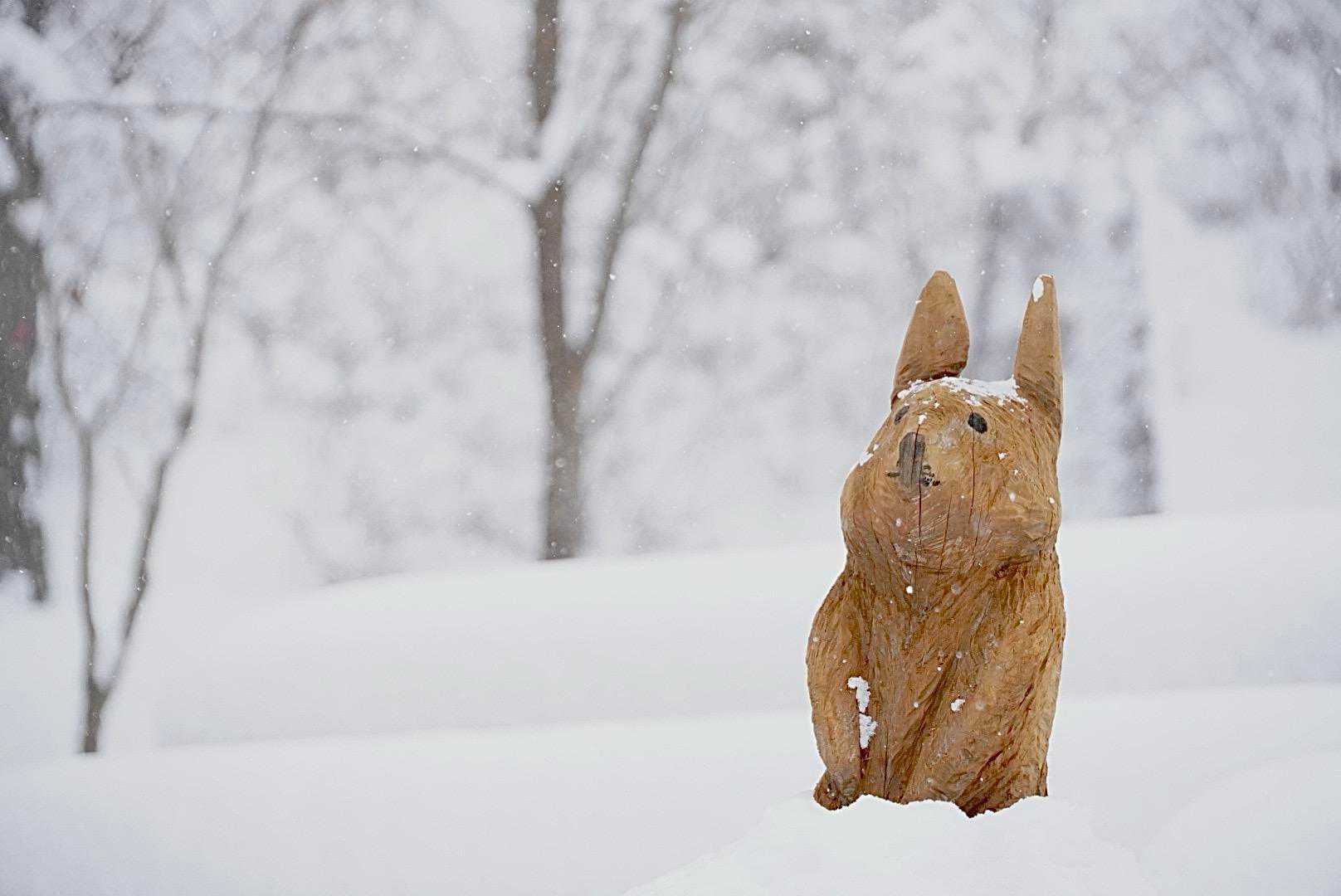 少し寒そう❄️
