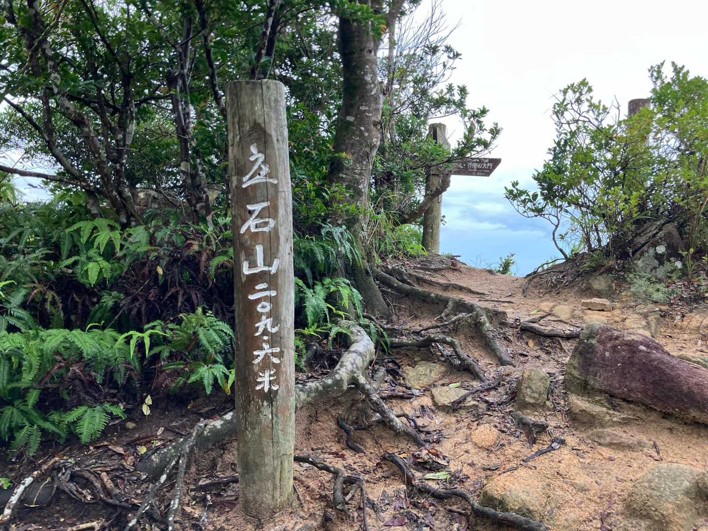山頂