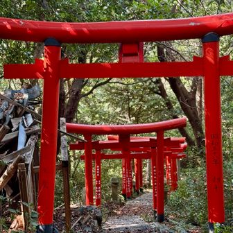 だいぶ降ってきて一安心