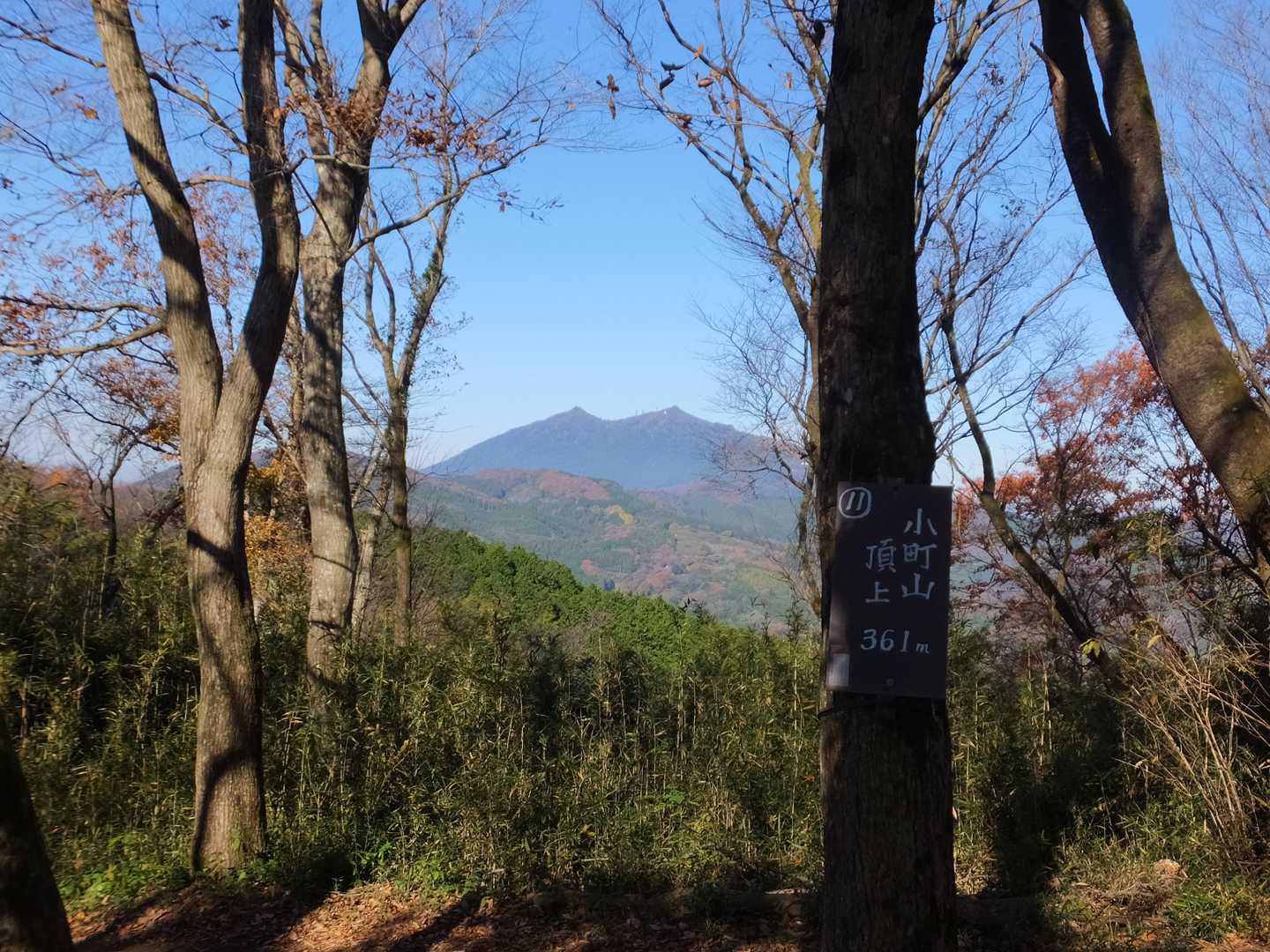 小町山山頂