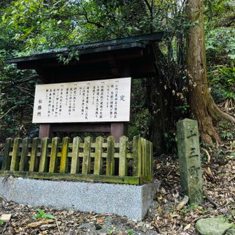 新しくなってる。