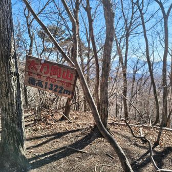 太刀岡山
 1,322M
木々の間から🗻