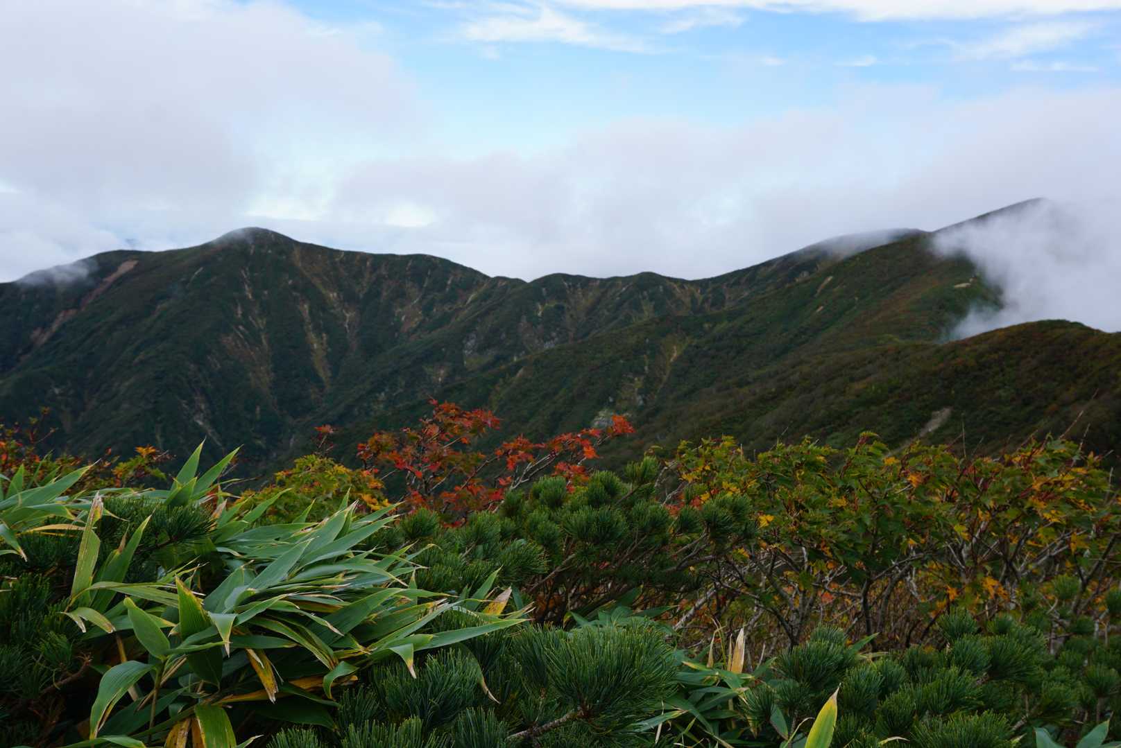 朝日鉱泉登山口-鳥原山-小朝日岳-大朝日岳-平岩山-御影森 周回コースの写真