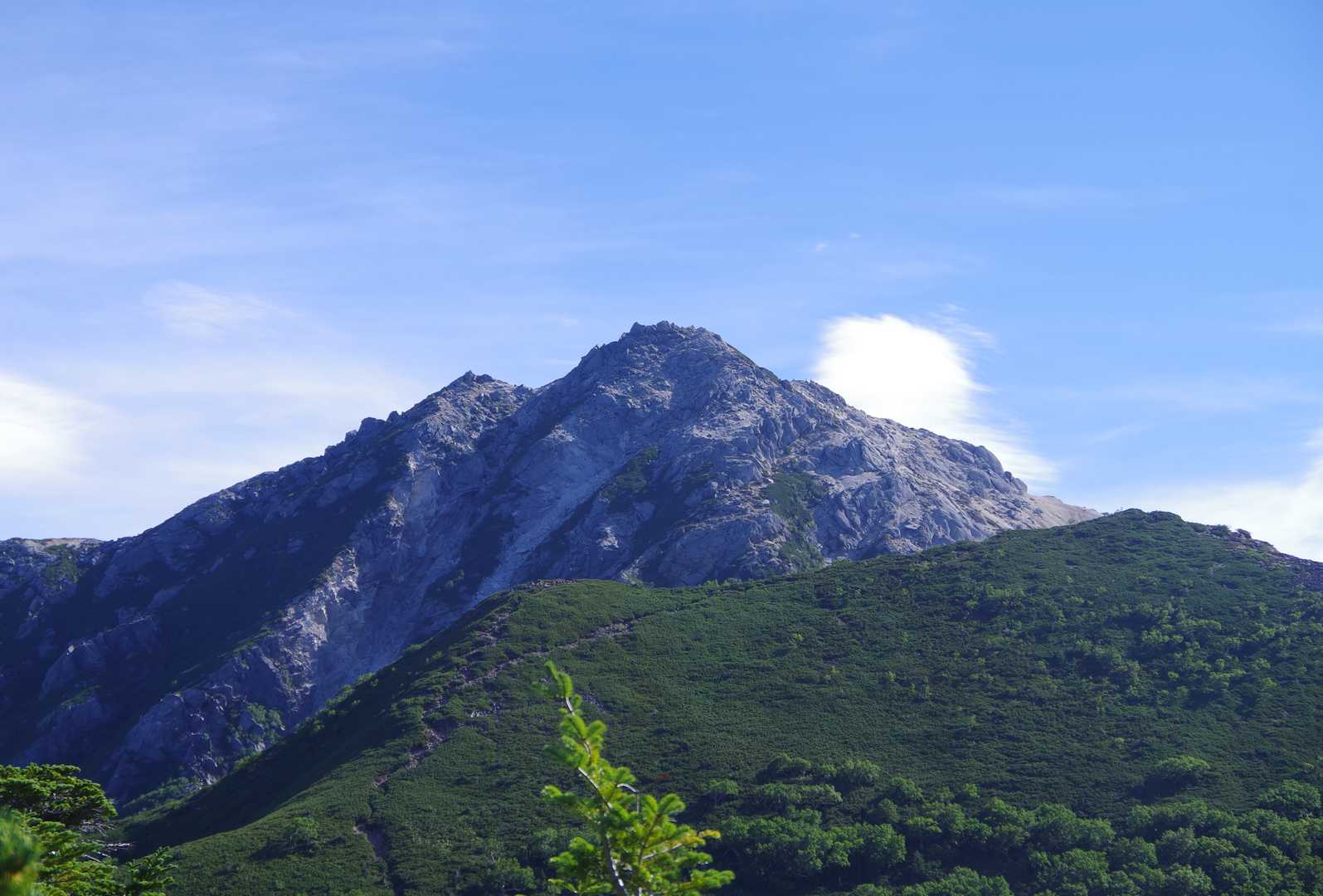 　双児山の山頂に着くと突然、眺望が開ける。
　ターゲットの山容を目の当たりにして息をのむのは、トムラウシ山以来だろうか。
　ここから先は北岳、仙丈ヶ岳、鳳凰山も眺めながら歩ける。