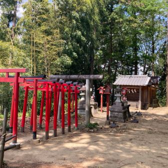 金山山頂のお稲荷さんです。