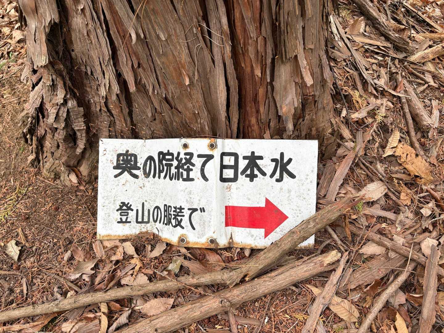 ここからは登山の服装が推奨👍