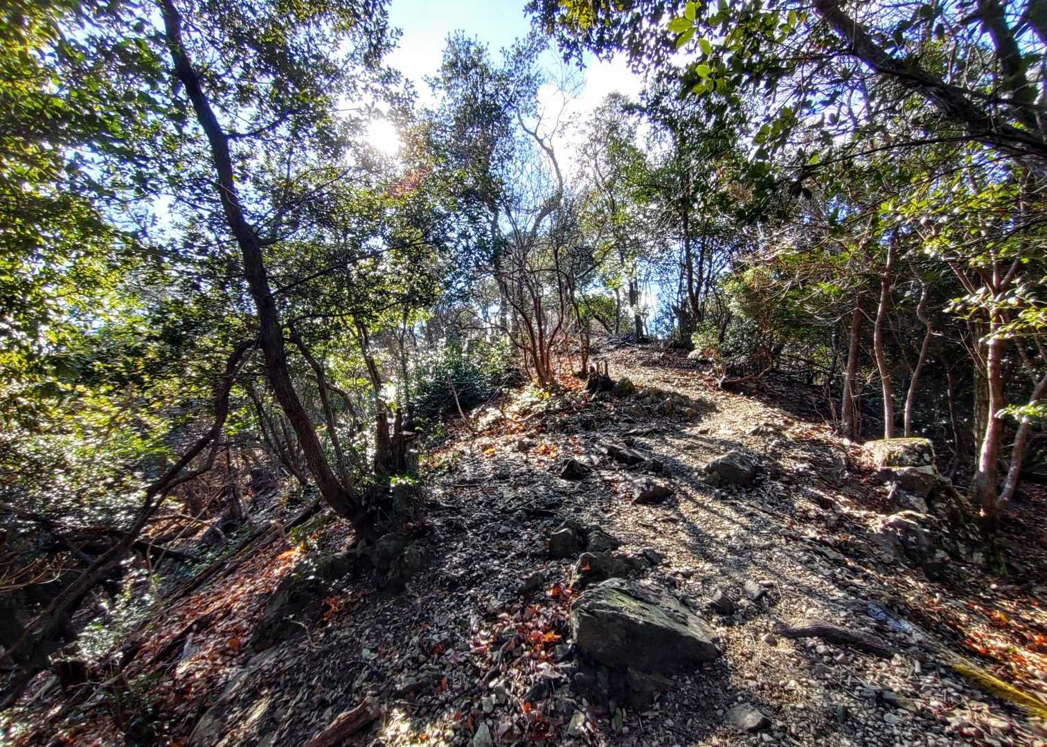 こんどこそ〰️岩場？🤭
なんとなく山頂が近づく気配につい足が速くなる💨💨🥾🥾