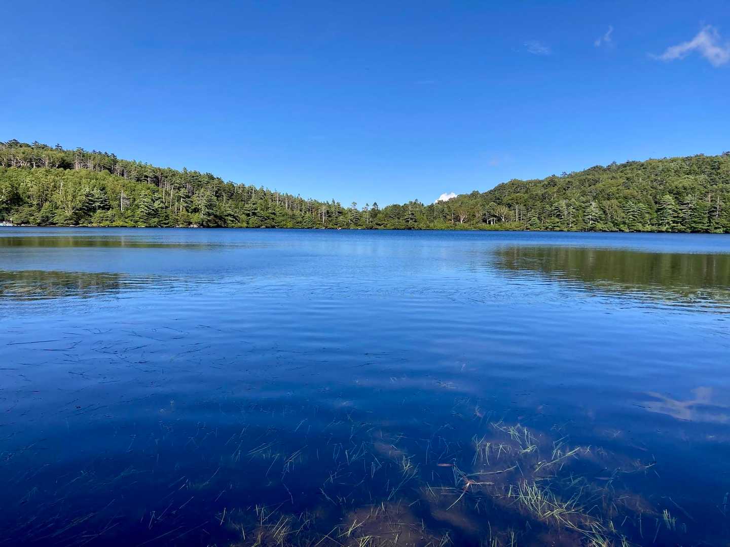 白駒池入口登山口-中山-ニュウ 周回コースの地図・登山ルート・登山口