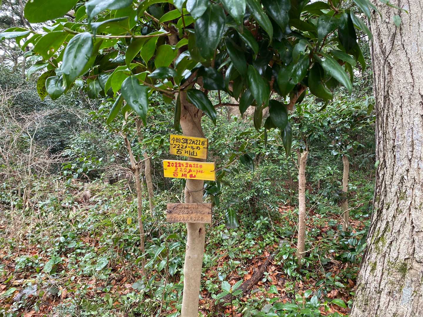 さぁ山頂に着きました⛰
山頂には色々な札が掛かってます👀

標高が222mなので毎年２月22日の登頂記念や。