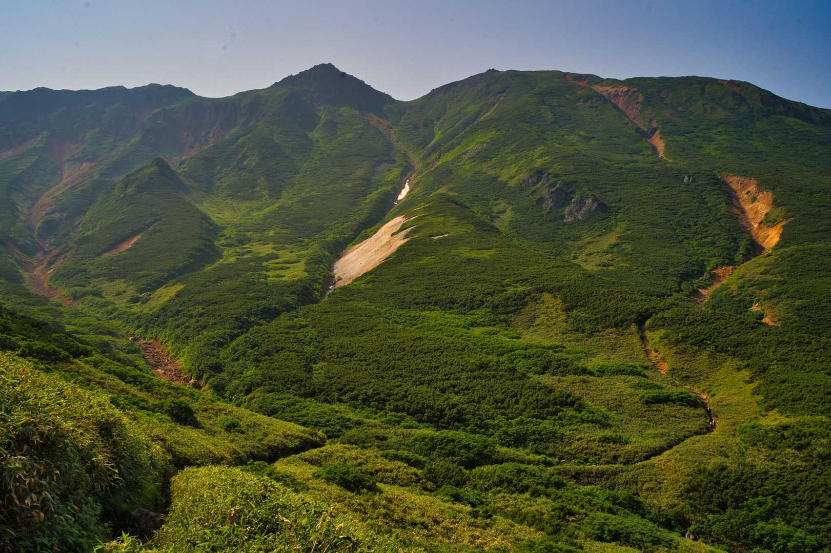 登山道が続きます( •̀ὢ•́ ; ) 💦 ｸﾞﾇﾇ ･･･