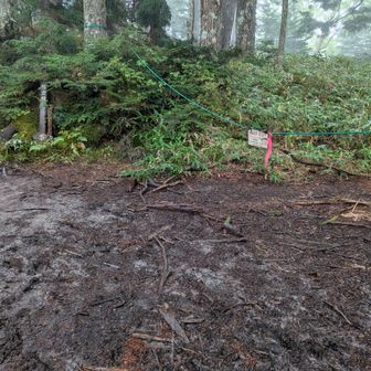 ここで尾根歩き終了。以降はつづら折りの登山道へ。