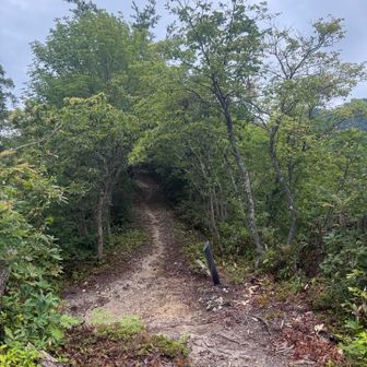 粟ヶ岳登れば良かったかな❓🤔とちょっと思いましたが夏☀️には無理だろうなぁ😅