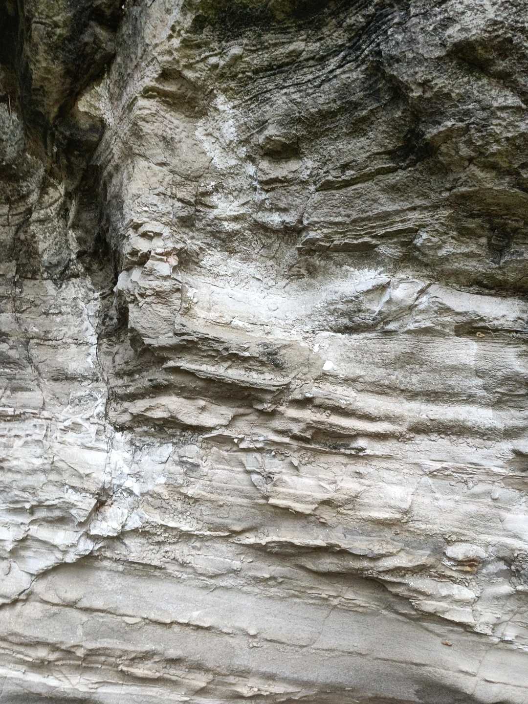 岩の模様が変わってる😳
なんていうんだろう？