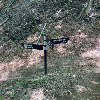 分岐まで戻って荒船山方面へ