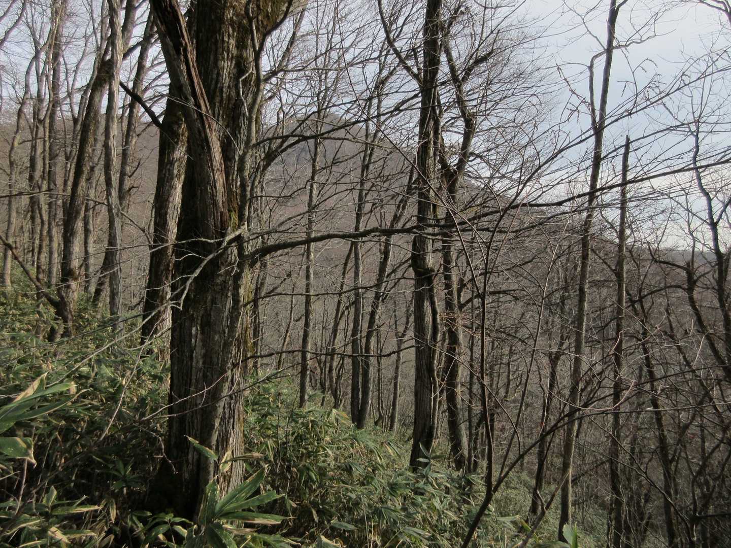 山頂を右に見ながらの登りです