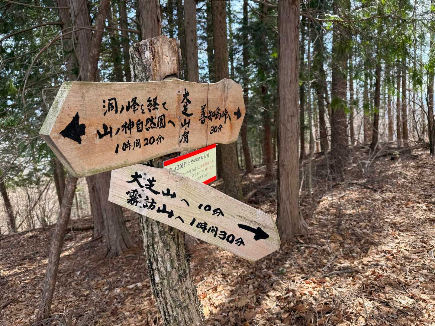 二座目の大芝山⛰️

山頂だと思い、勘違いして撮影してました😭
この先だったようで、知らぬ間に通過してました🥾