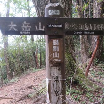 鍋割山ー。特に眺望もなし