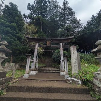 ちょっとお邪魔