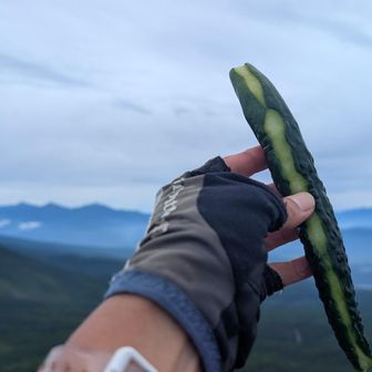 お腹が…ペコペコ🤤
まずは✨
いっぽ〜ん🥒