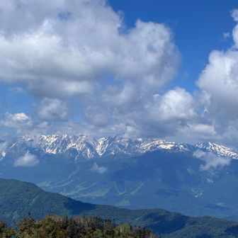 ここからも白馬三山。