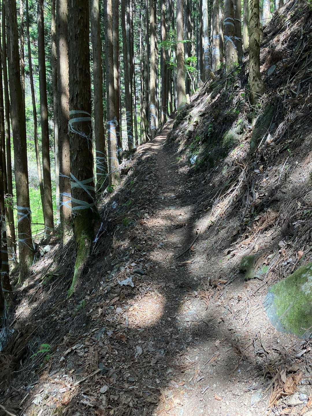 天狗岩登山口-天狗岩 往復コースの写真