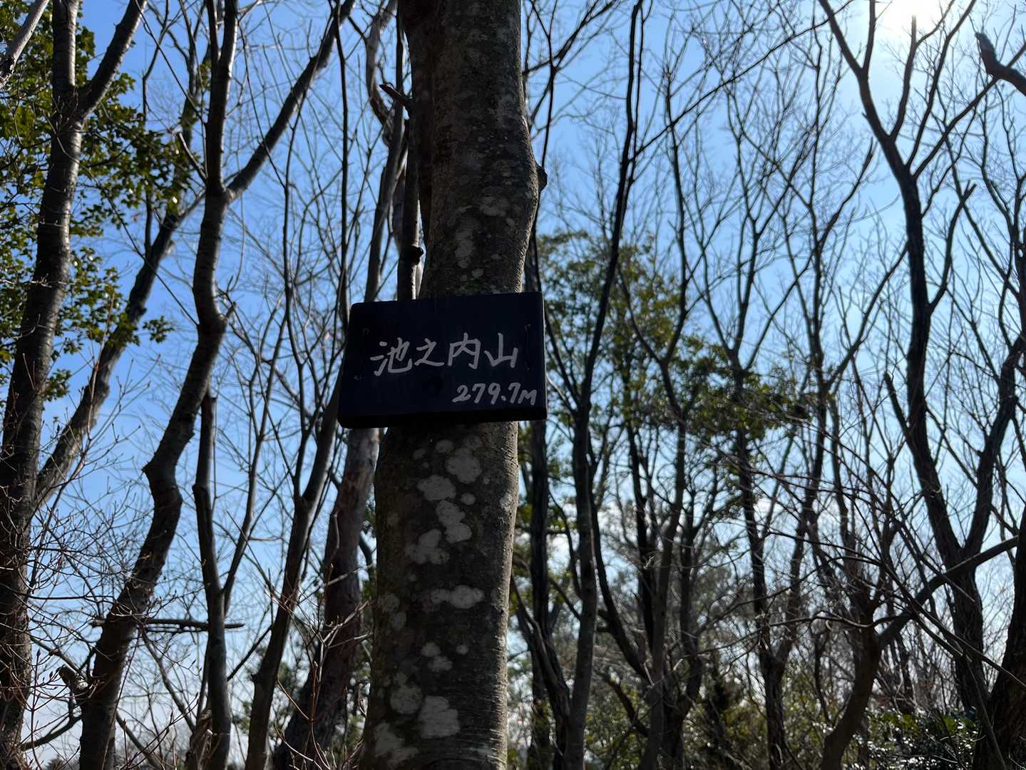 次、3分後、11ピーク🚩池之内山。
ピークハント、楽しすぎるっ💕