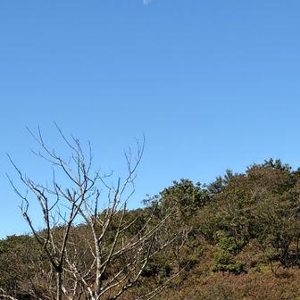 何故か11:00に月？