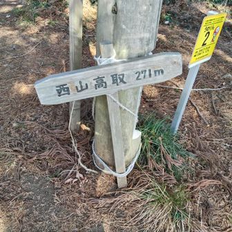 西山高取
眺望良好ですが、霞んでました😭