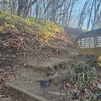 ←舗装道路から左へ
大菩薩嶺登山道
先ずは『福ちゃん荘』を目指します