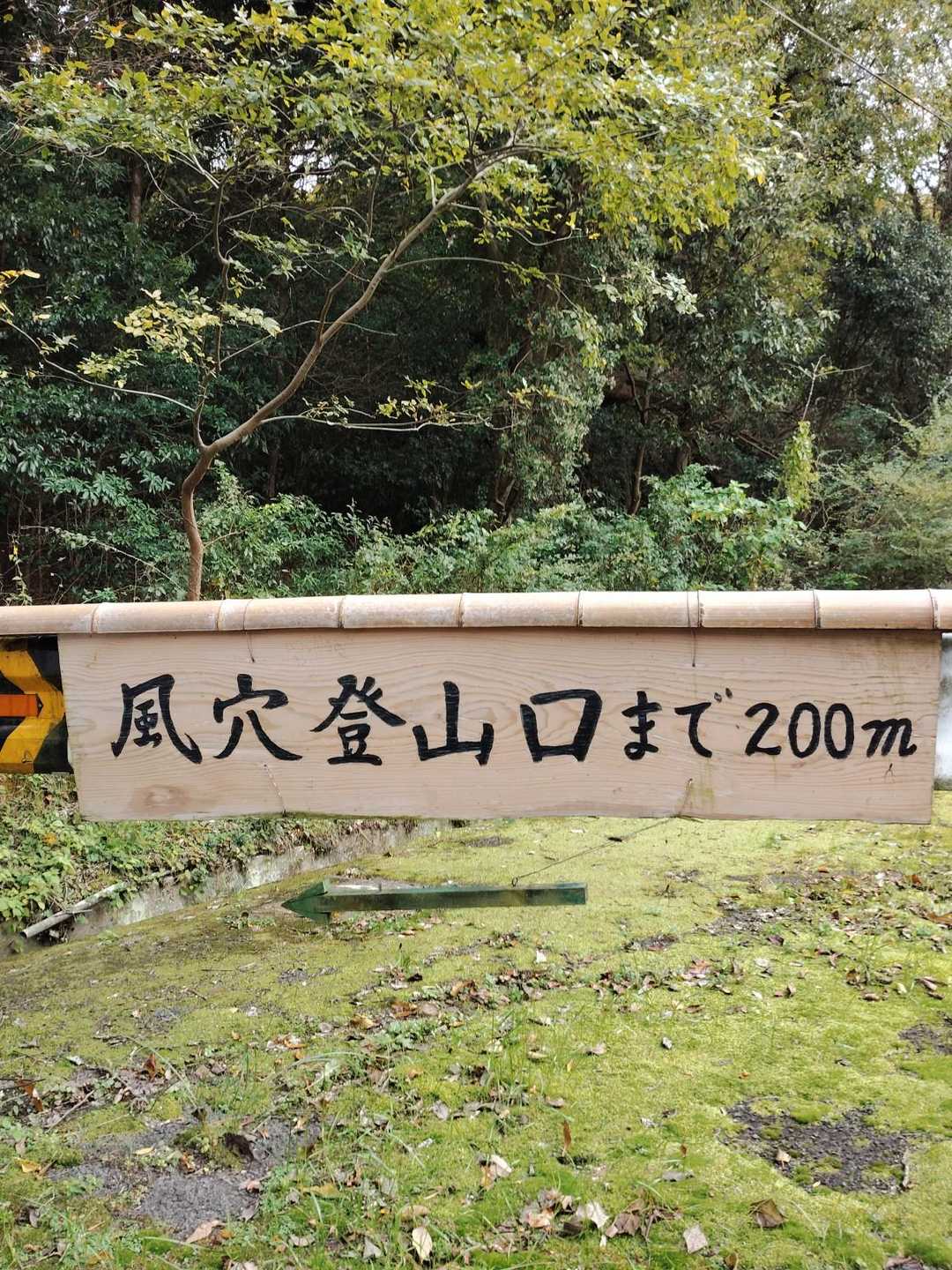 夏場は冷たい風が嬉しいだろうな