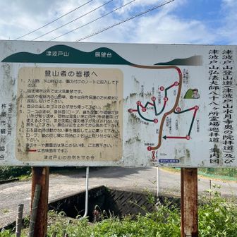 今度は88か所巡りも楽しいかも