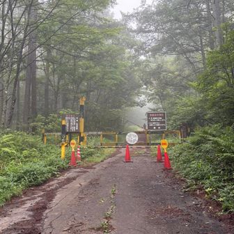 舟山十字路

約一年振り