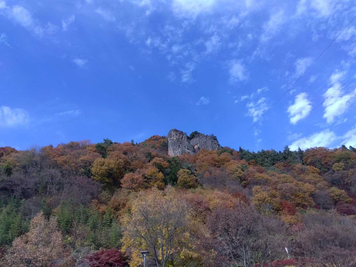 嵩山 往復コースの写真