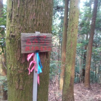 大根地神社から
さらに北に３座あるので
ここから目指しました💪

ただこの直後、
鹿ネットに鹿さんのご遺体が
３匹分ほど…🦌
そのうち２匹は完全白骨体
もう１匹は毛皮がまだ残ってました…😨