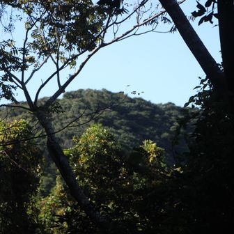長者山の手前の山