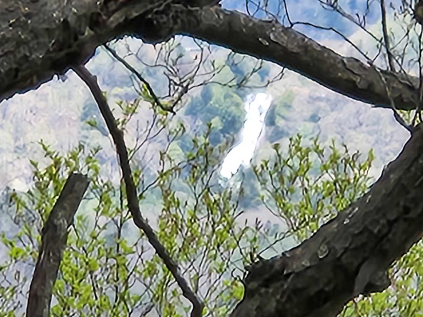 前回は気付かなかったが湯滝が見えた