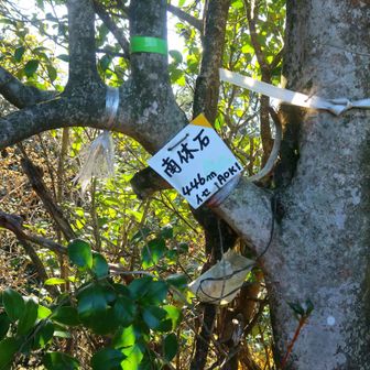 んで、[南休石]到着