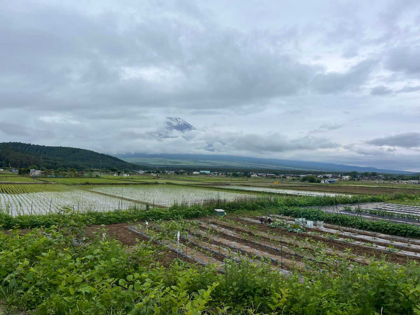 一旦降って平尾山の登り口向かうロードで富士山見えた😁