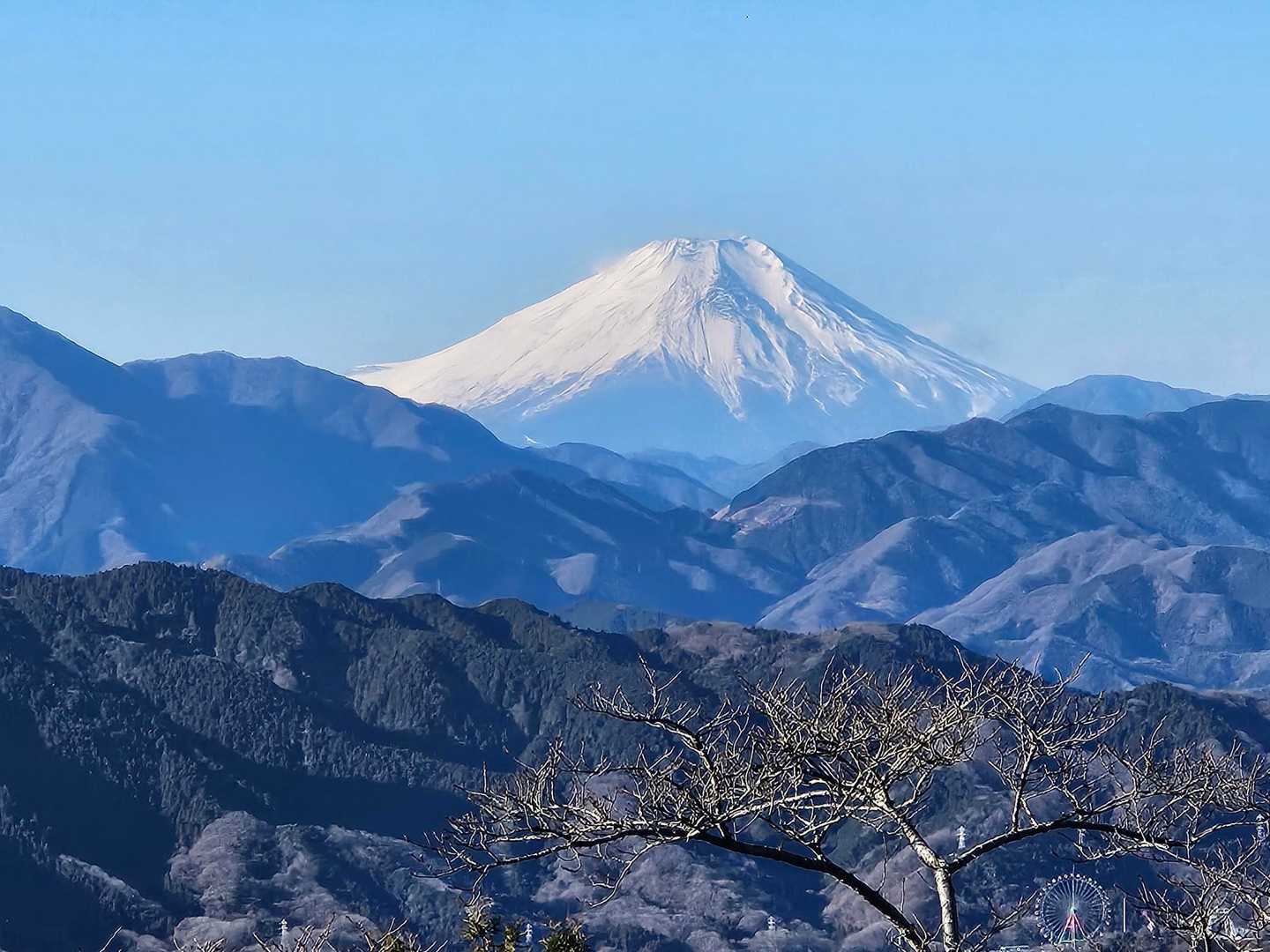 素晴らしい！