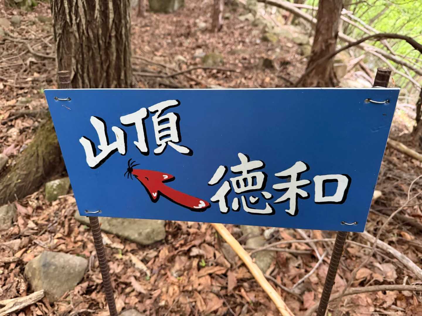 案内沢山あり

🦊ちゃんだね😆