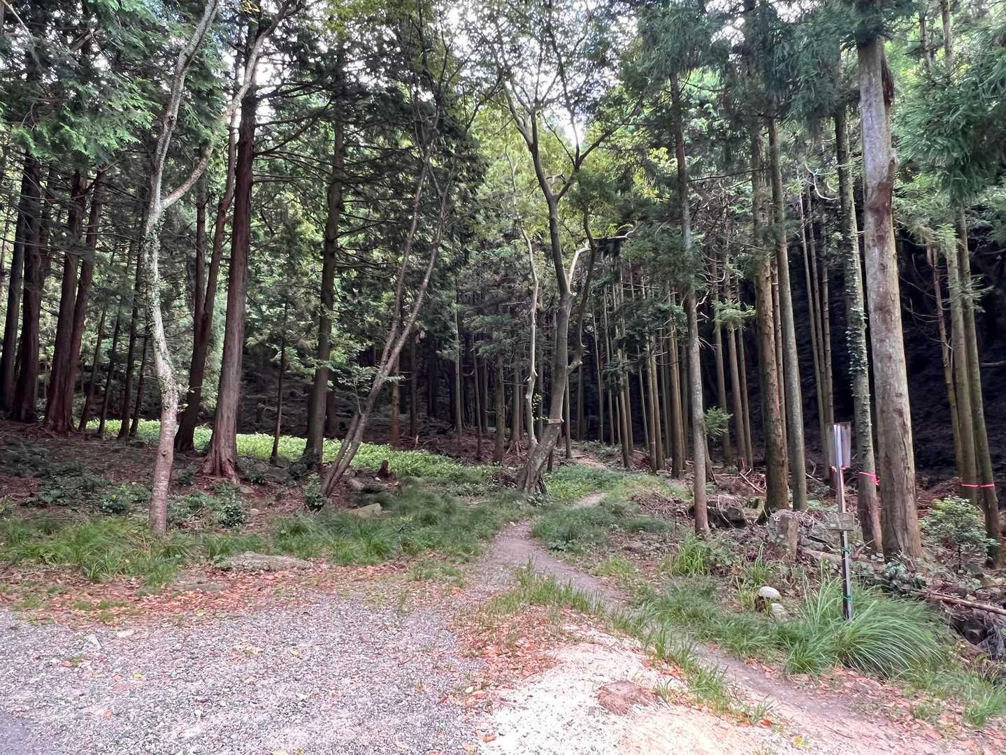 竜王山 往復コースの写真