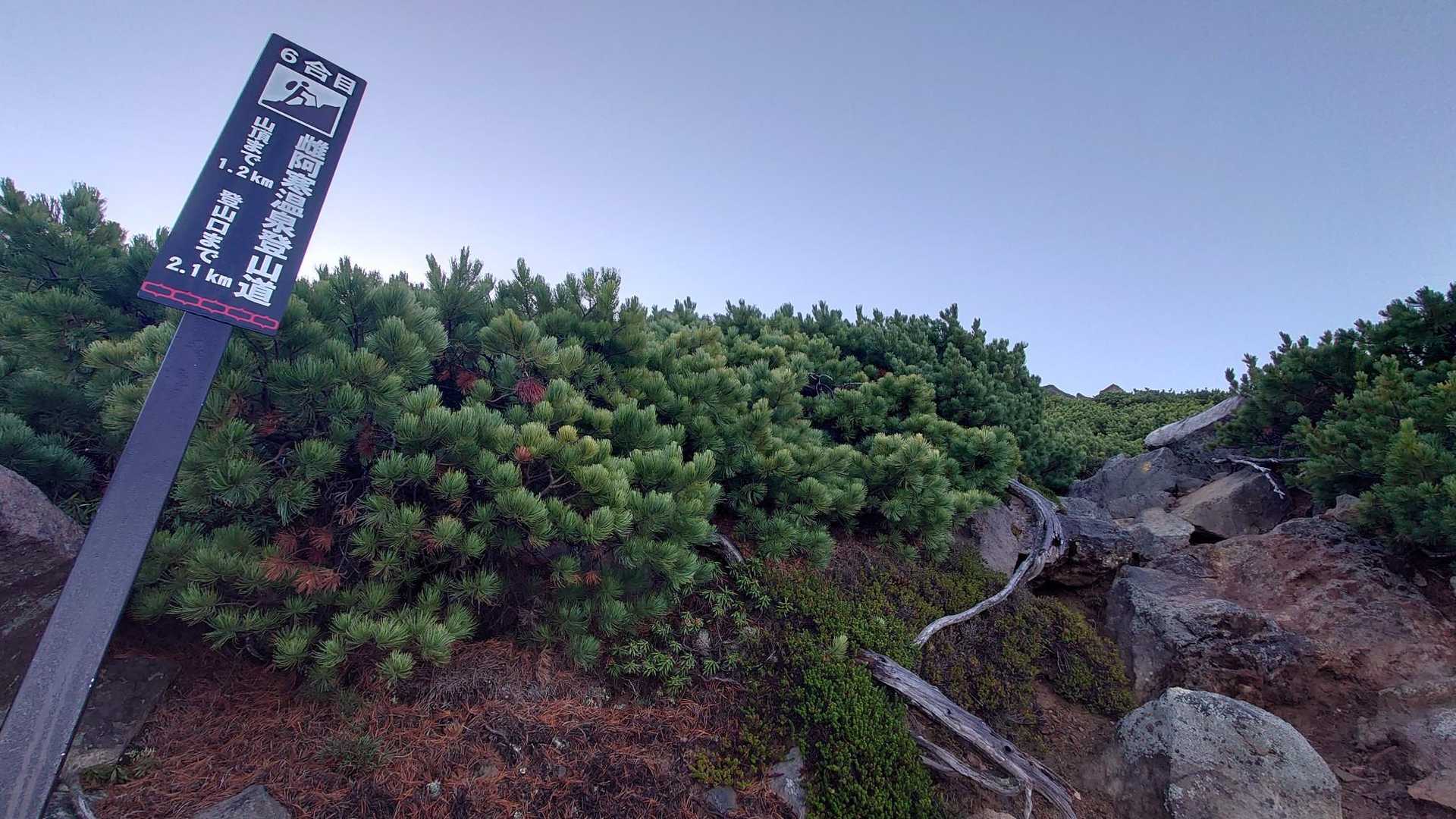 雌阿寒温泉登山口-雌阿寒岳-阿寒富士 往復コースの写真