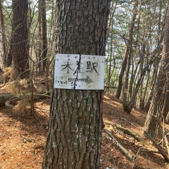 九鬼山の尾根の弥生峠