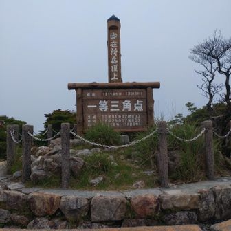 証拠写真