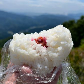 自作握り飯🍙
おいしい