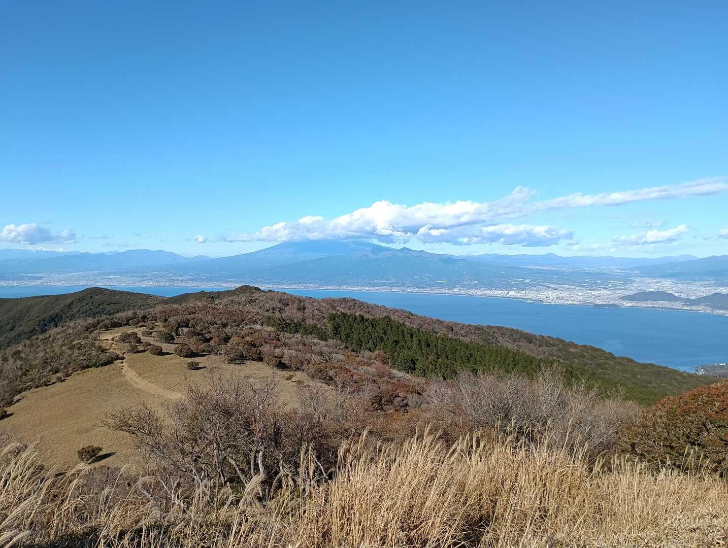戸田峠-金冠山-小達磨山 周回コースの写真