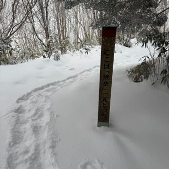 もふもふの横岳🏔️

この先で駐車場でお話しした女性に追いつく。
まさかのソロだった😳凄過ぎる…
