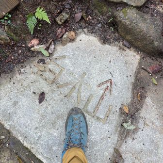 Good morning〽️
白木山登山口🥾