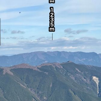 こっちの方が高い‼️